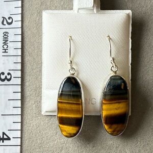 Silver Tiger's Eye Drop Earrings